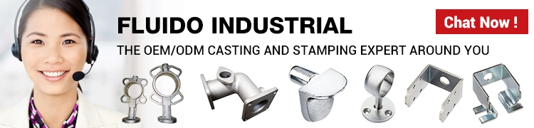 Custom Stamping Parts in Stainless Steel/Aluminium